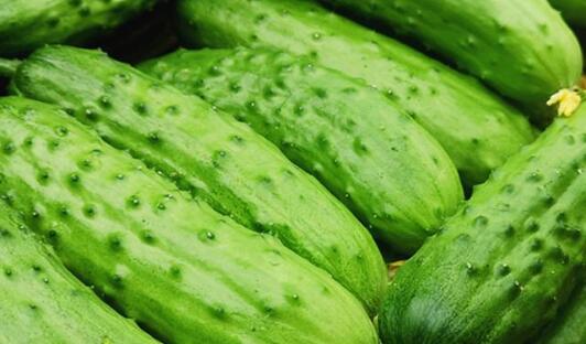 土壤氮磷鉀測(cè)試儀