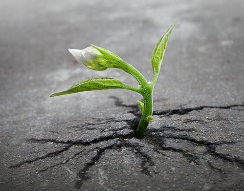 土壤重金屬檢測(cè)儀